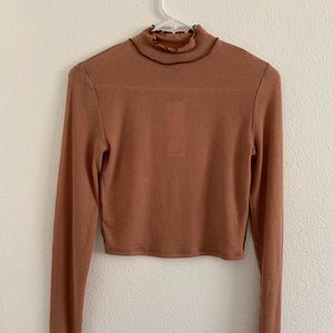 Sheer, brown turtleneck
